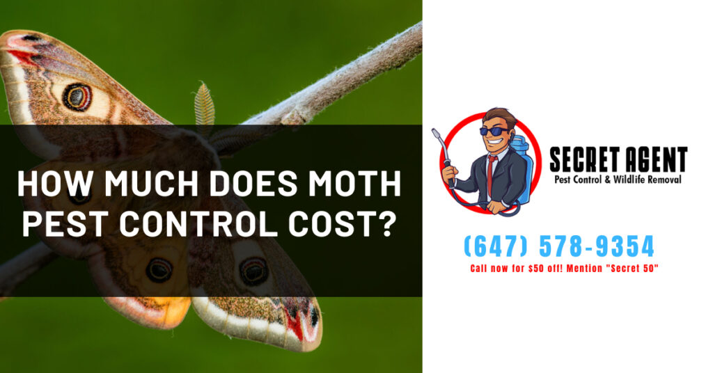 How much does moth control cost? Secret Agent Pest Control
