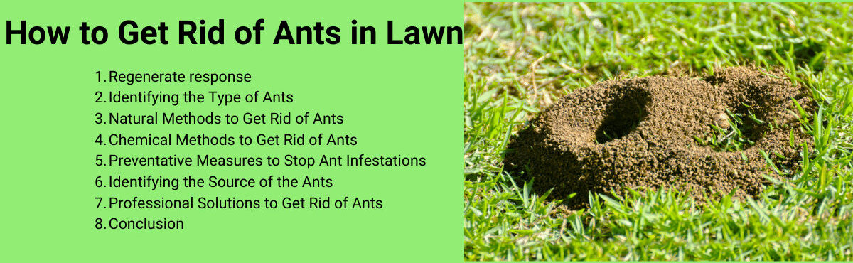 Getting rid of ants in your lawn naturally is a great way to keep them away.
